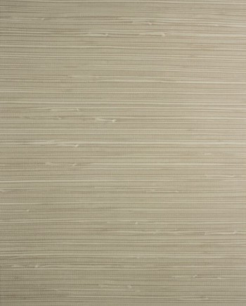 کاغذ دیواری قابل شستشو عرض 50 Design id آلبوم آلفا کد SR210302